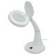 Lightcraft LC8093 Fluorescente Lente Ingrandimento Lampada da Tavolo