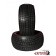 AMAZZONIA SOFT
